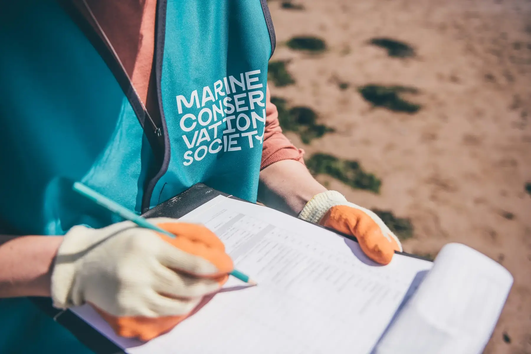 Gower beach clean, credit Aled Llewelyn
